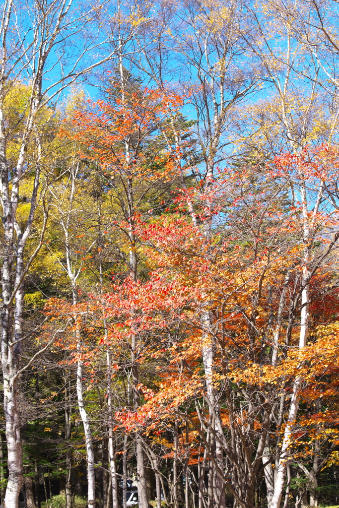 紅葉・奥日光♪4