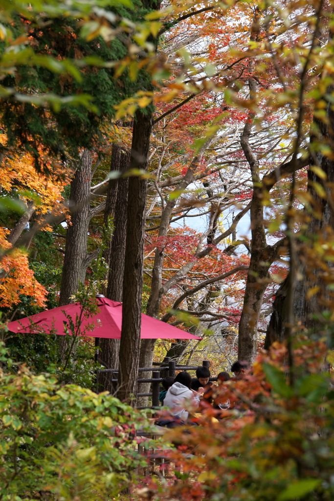 紅葉の頃・太平山♪3