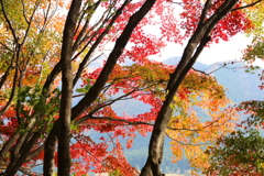 記念館はすぐそば♪５