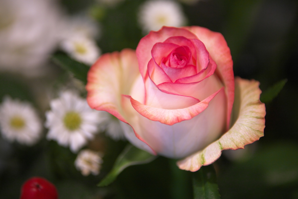 華やぎの時♪5