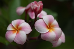 思い出になる前に♪4