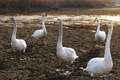 また、逢おうね♪2