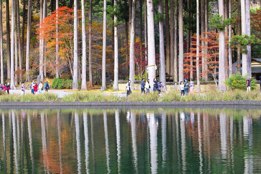 紅葉・古峯園♪3