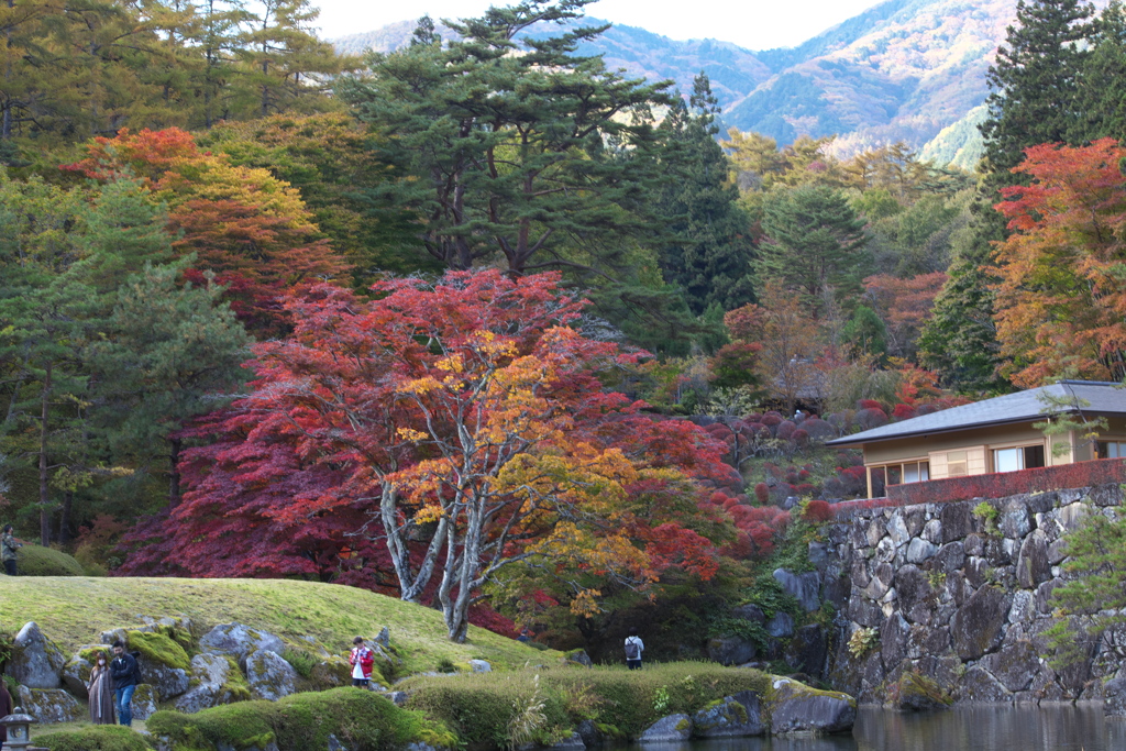 紅葉・古峯園♪10