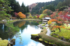 紅葉・古峯園♪8