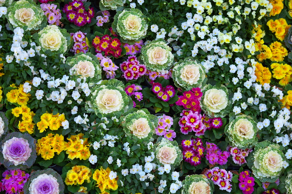 新年おめでとうございます♪5