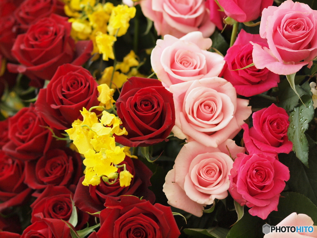 春を呼ぼう♪10