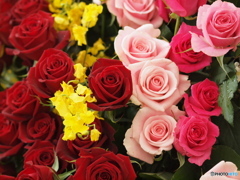 春を呼ぼう♪10