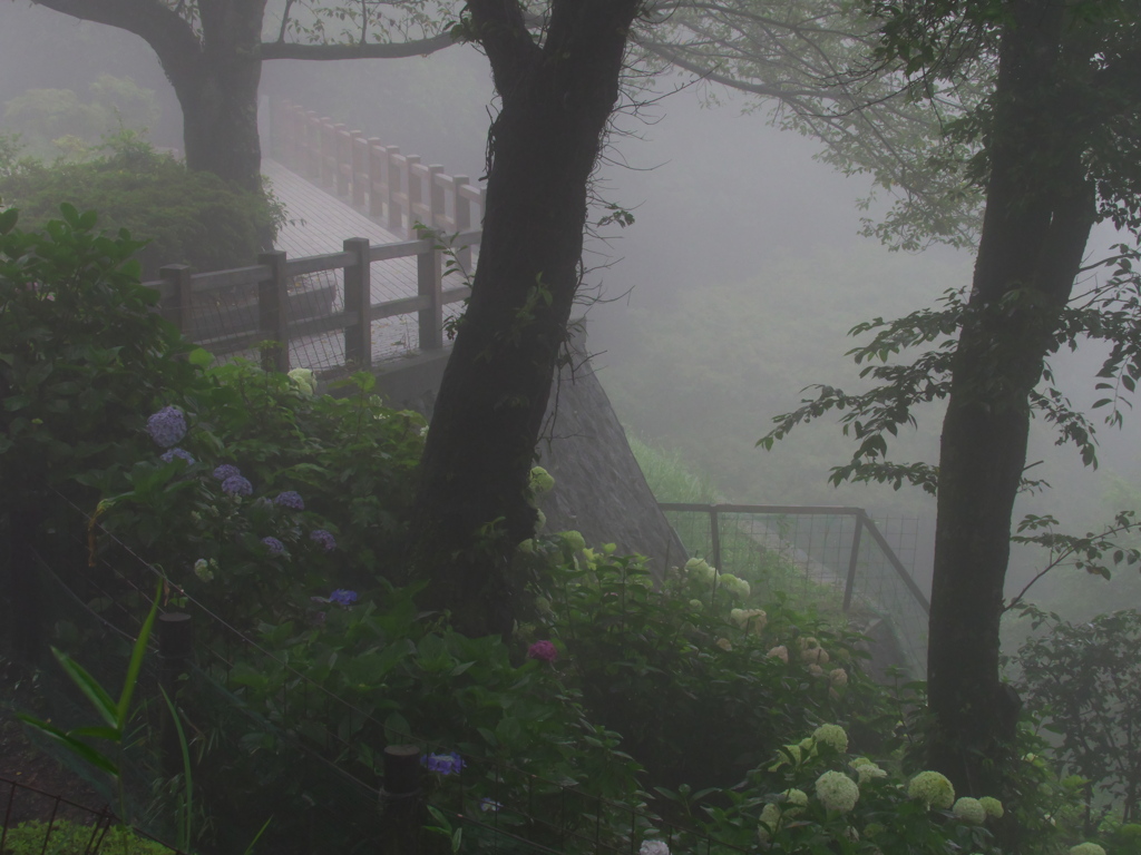 霧の太平山♪4
