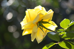 さよならを言う前に♪3