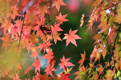 記念館はすぐそば♪３