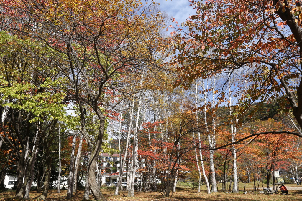 紅葉・奥日光♪13