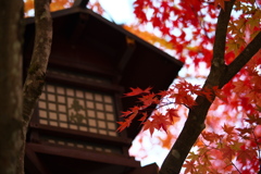 浄光寺の秋♪８