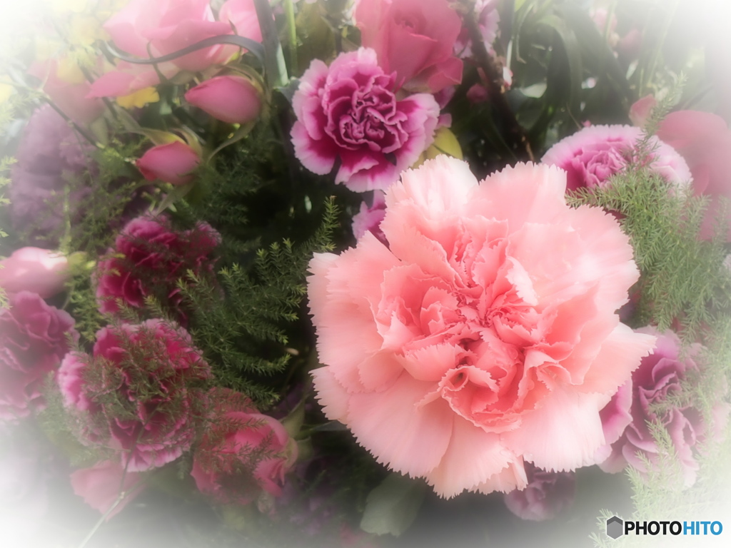 春がいっぱい♪17