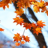 紅葉日光・中禅寺湖周辺♪4
