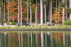 紅葉・古峯園♪6