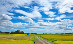 愉しい雲景色♪Ⅱ