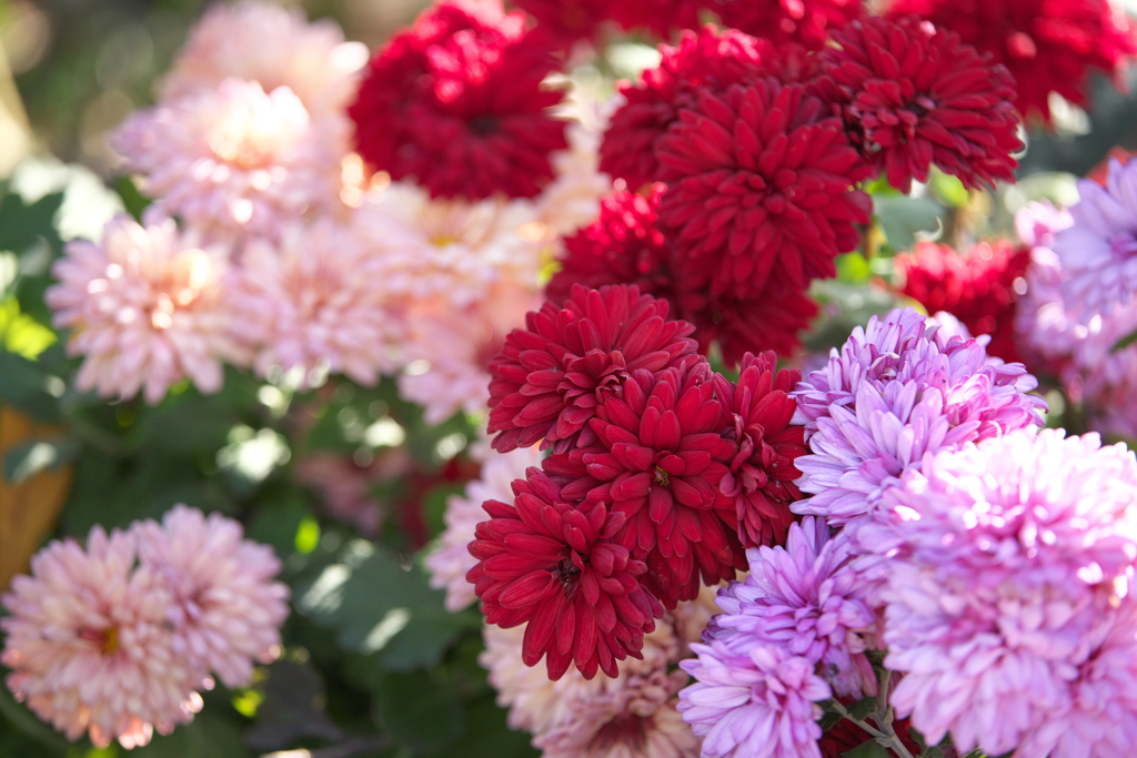 さよならを言う前に♪5