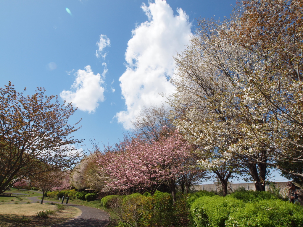 万葉庭園の春♪2