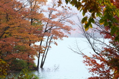水辺の紅葉♪2