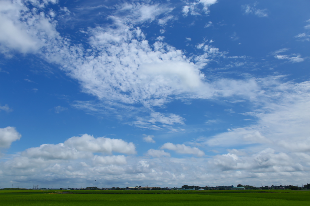 梅雨明けで～～す♪4