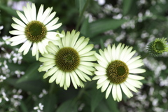 フラワーパークにて♪