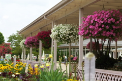 初夏のフラワーパーク♪3