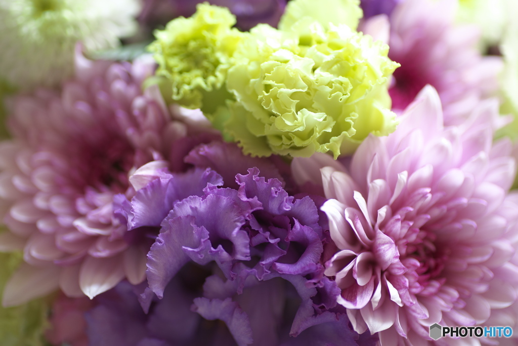 微笑みの花たち♪13