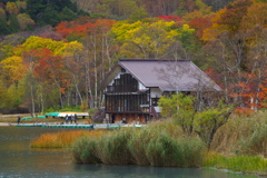 奥日光・紅葉の頃♪4