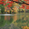 奥日光紅葉・湯ノ湖♪10