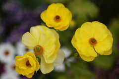 春がいっぱい♪11