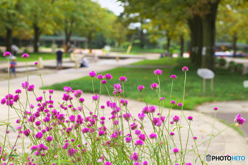 秋の始まりの頃♪１