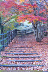 紅葉の頃・富弘美術館♪13