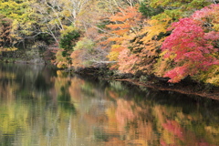 奥日光紅葉・湯ノ湖♪9