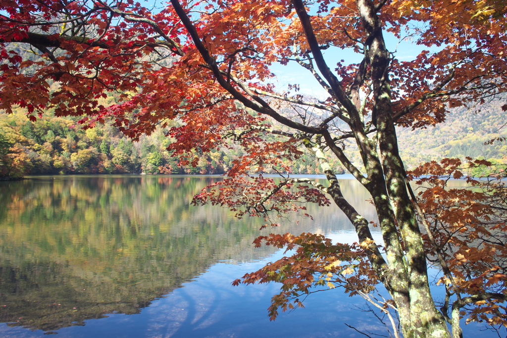 奥日光・湯ノ湖の秋♪1