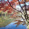 奥日光・湯ノ湖の秋♪1