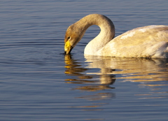 また、逢おうね♪3