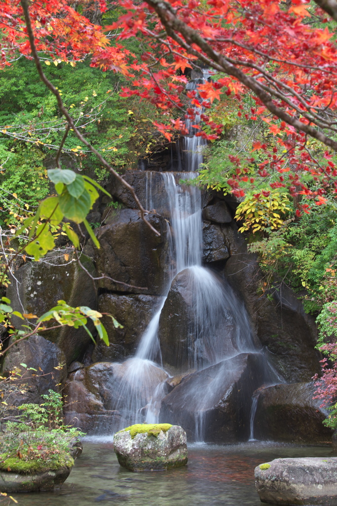 古峯園の秋♪7