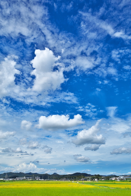 空・天体写真集