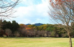 だいや川公園の秋