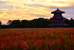鞠智城の夕日