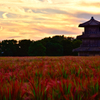 鞠智城の夕日