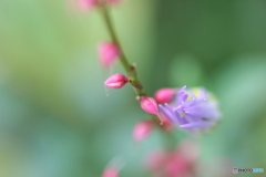 寄り添って、、