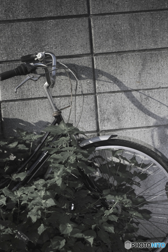 自転車