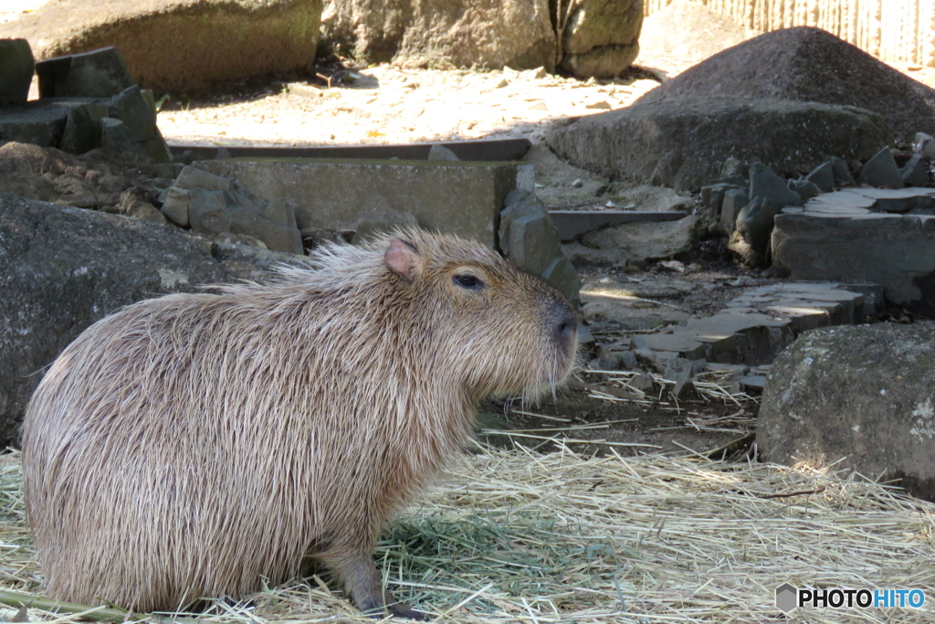 動物園