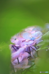 梅雨の合間