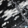 The water