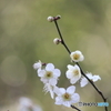 早春
