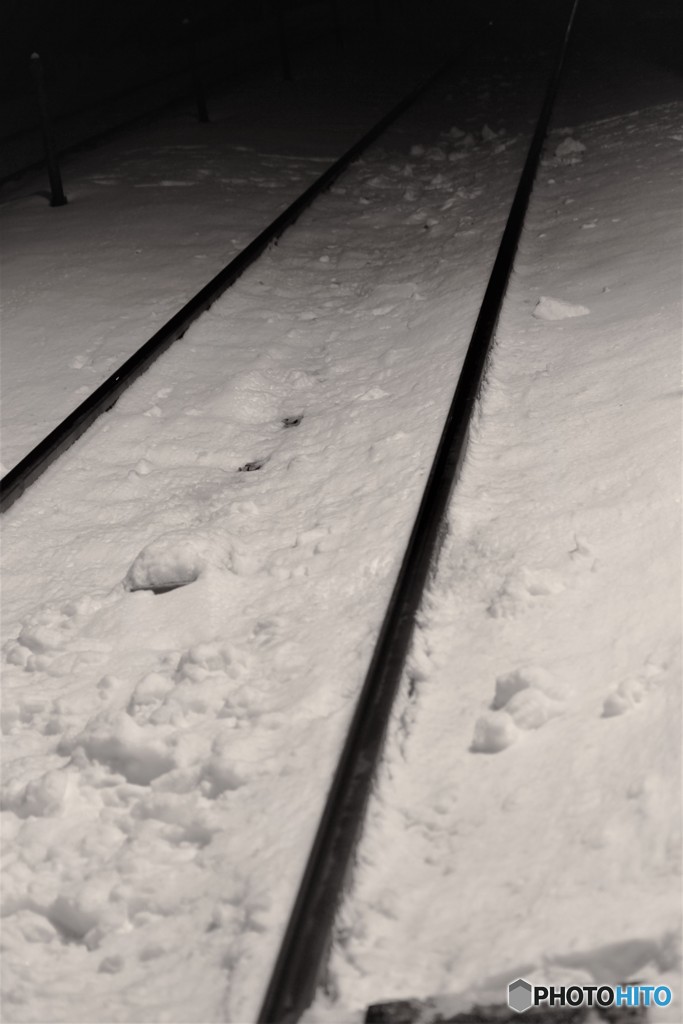 雪の中