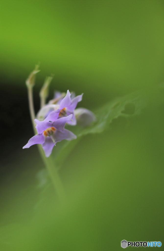 うつむいて、、